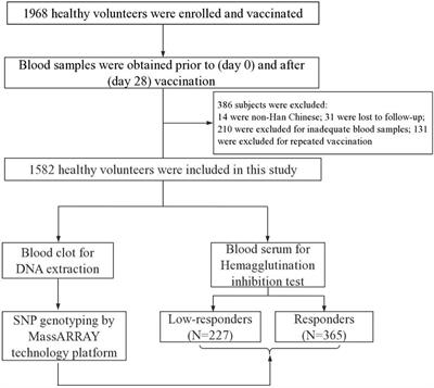 Association of Single Nucleotide Polymorphisms in LEP, LEPR, and PPARG With Humoral Immune Response to Influenza Vaccine